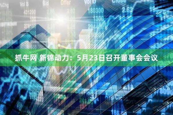 抓牛网 新锦动力：5月23日召开董事会会议