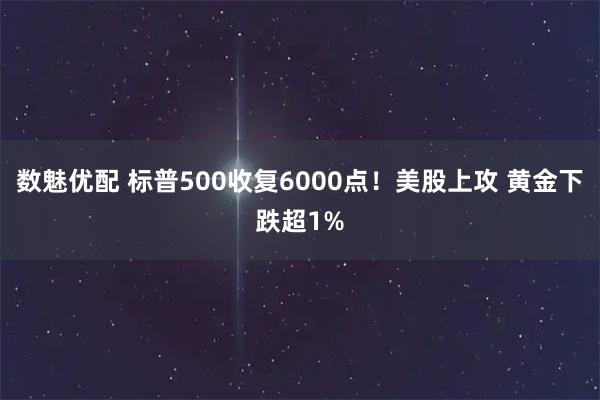 数魅优配 标普500收复6000点!美股上攻 黄金下跌超1%
