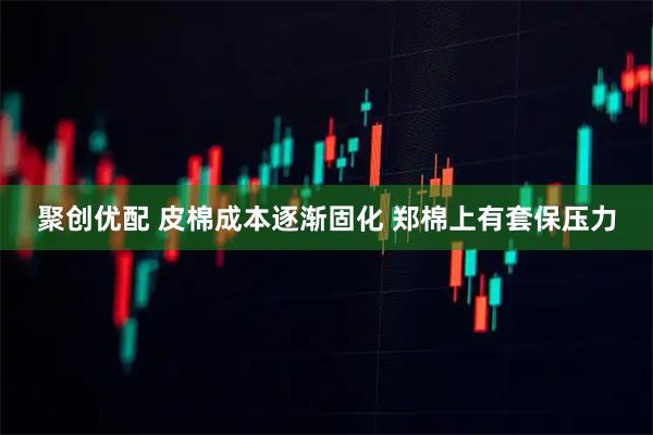 聚创优配 皮棉成本逐渐固化 郑棉上有套保压力
