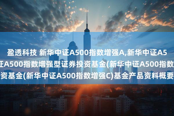 盈透科技 新华中证A500指数增强A,新华中证A500指数增强C: 新华中证A500指数增强型证券投资基金(新华中证A500指数增强C)基金产品资料概要