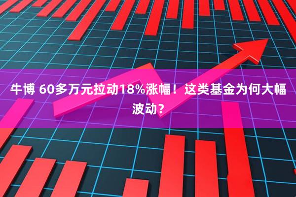 牛博 60多万元拉动18%涨幅!这类基金为何大幅波动?